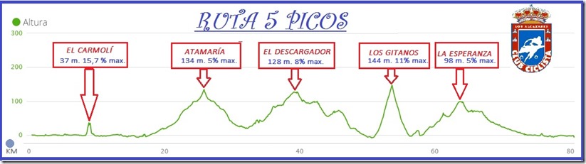 Perfil 5 Picos